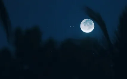 Complete Relaxation & Sleep Preparation