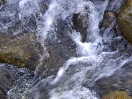 Complete Relaxation, Compassion, Letting Go