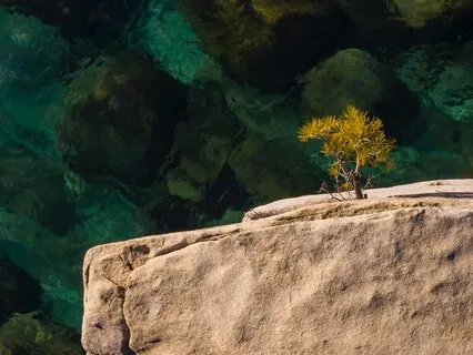 Complete Self-Acceptance 10-Minute Meditation