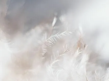 Complete Stress Relief