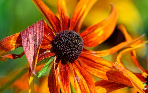 Completely At Peace (No Music)