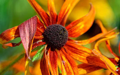 Completely At Peace (With Music)