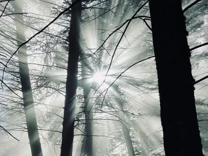 Complexity With Ease