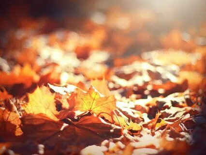 Composting Old Stories