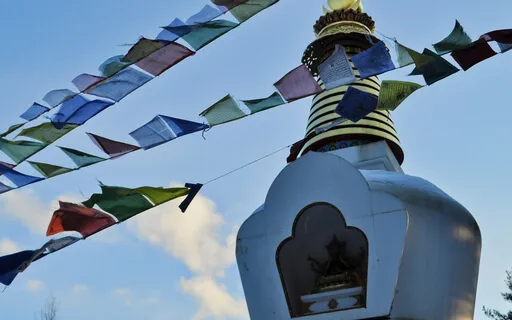 Conative Practice: Wisdom And Compassion