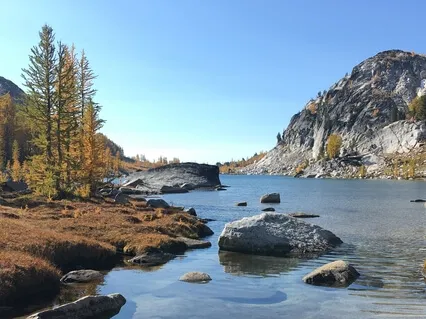 Concentration & Attention