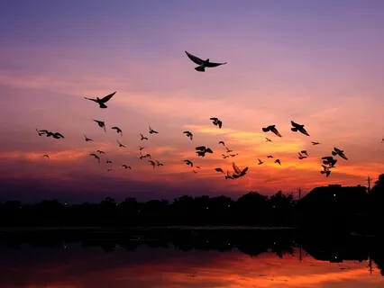 Concentration And Focusing On Counting Breath To Ten