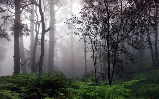 Concentration Meditation