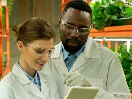 Concentration Productivity Work Music