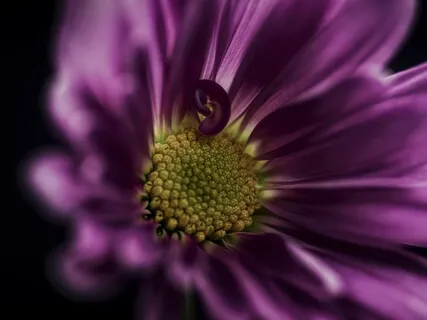 Concentration - The 6th Factor Of Awakening