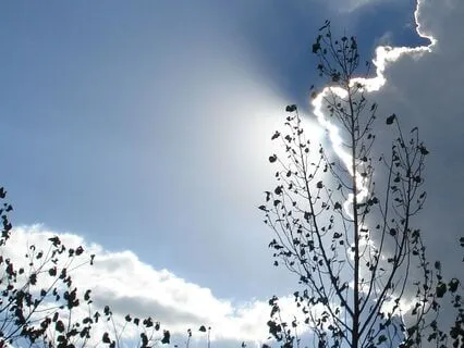 Connect With Your Inner Energy And Love Of Your Heart