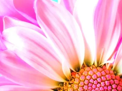 Conexão com a Mãe - Constelação Familiar