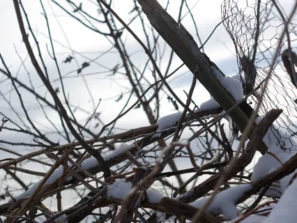 Confessions Of An Aspiring Postmodernist