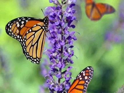 Confidence Activation Practice