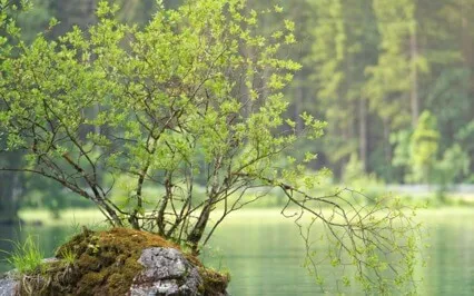 Confidence - Affirmation Meditation