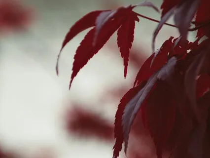 Confidence Affirmation