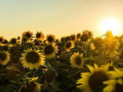 Confidence Affirmations - Inner Strength & Joy