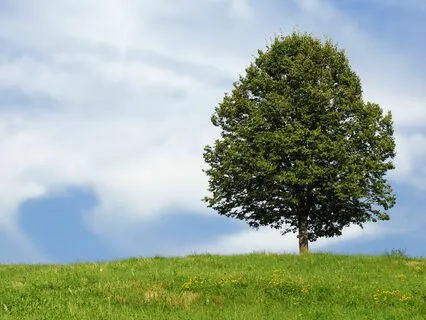 Confidence Affirmations - No Intro