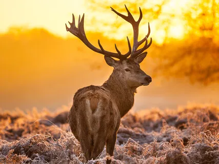 Inner Journey To Confidence & Purpose