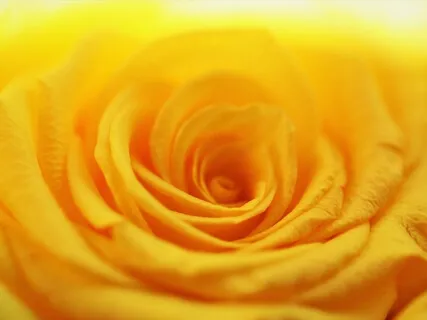 Confidence Beyond Fear