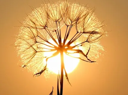 Confidence Boost With Affirmations