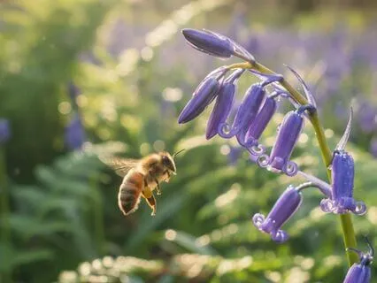 Confidence For Feeling The Fear And Doing It Anyway