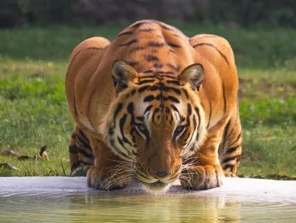 Confidence From Within | Empower Your Morning