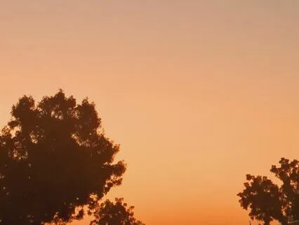 Confidence Manifest: A Guided Journey To Self-Empowerment