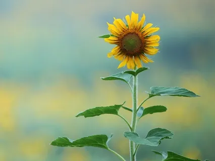 Confidence | Step Into Your Power