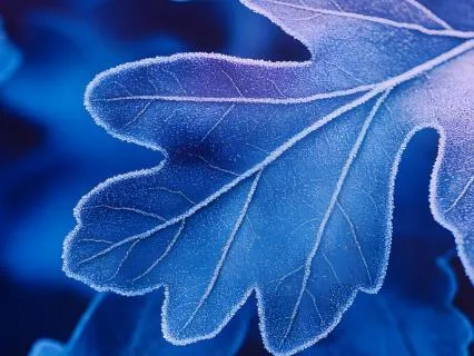 Confidence Meditation To Reprogram With Archangel Michael
