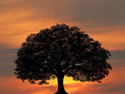 Confidence Meditation