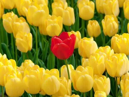 Confidence Reset: From Self-Doubt To Self-Worth