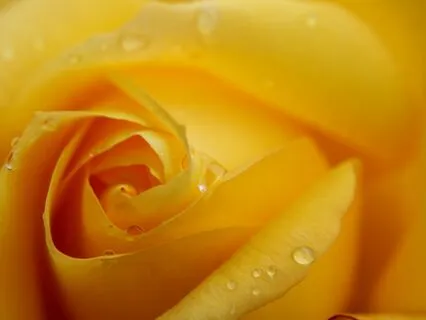 Confidence & Self-Esteem (Solar Plexus Chakra) Affirmations