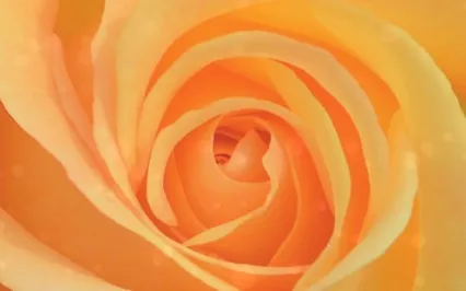 Confidence/Believe In Yourself Affirmations Meditation