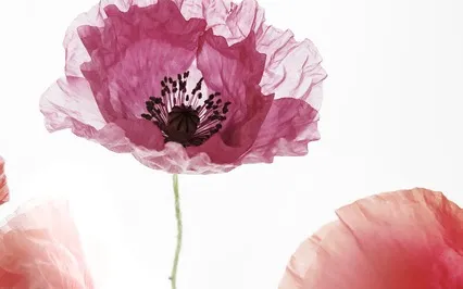 Confidence / Day 7: Beautiful Body Energy Clearing 