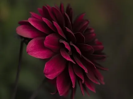 Build A Deep Sense Of Confidence