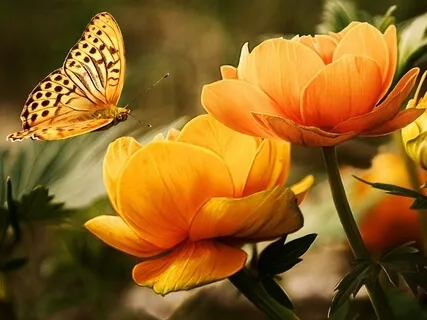 Confident Teaching During Difficult Times