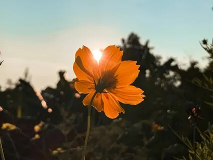 Confident Voice Subliminal Affirmations And Binaural Beats