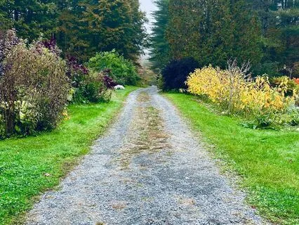 Conflicts Around The World Make Me Anxious!