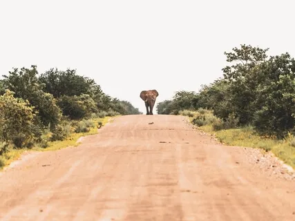 Confronting Yourself 