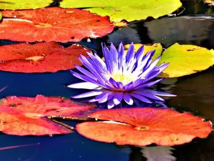 Confusion Is Part Of The Journey