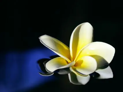 Connect And Be Nurtured