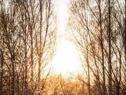 Breathe Into Your Body: A Calming Mind-Body Practice