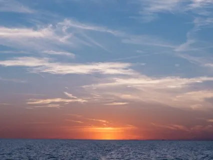 Connect, Breathe, & Love Your Body - 5 Minutes