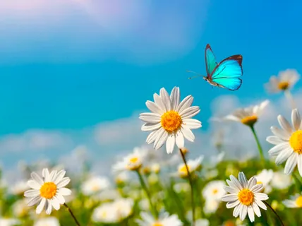 Connect - Healing Piano Music