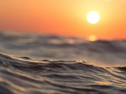 Connect Into Safety In Your Body Meditation