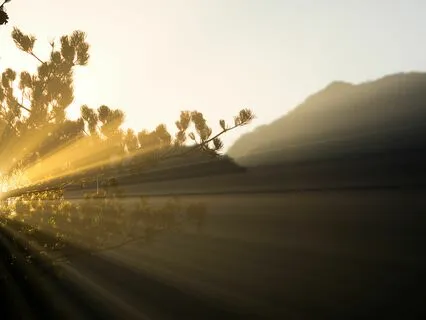 Connect To A Confident Posture