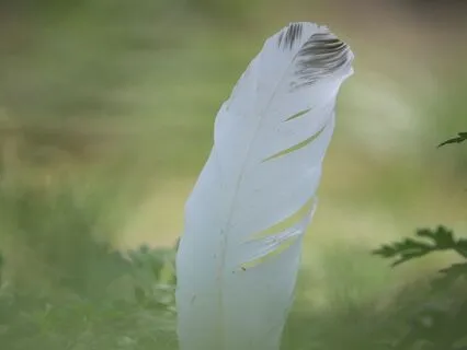 Connect To Higher Self & Manifest Desires While You Sleep