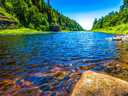 Connect To Mother Earth 