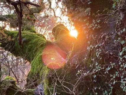 Connect To Mother Earth 